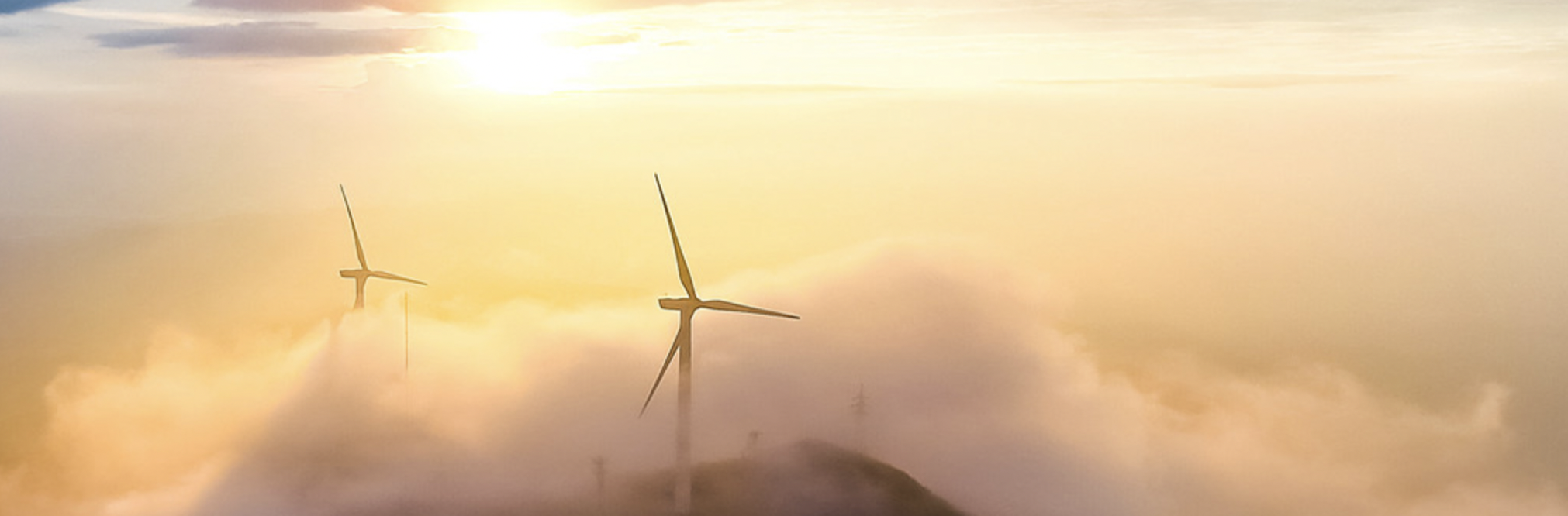 �ڲ�tengbo9885����-�������